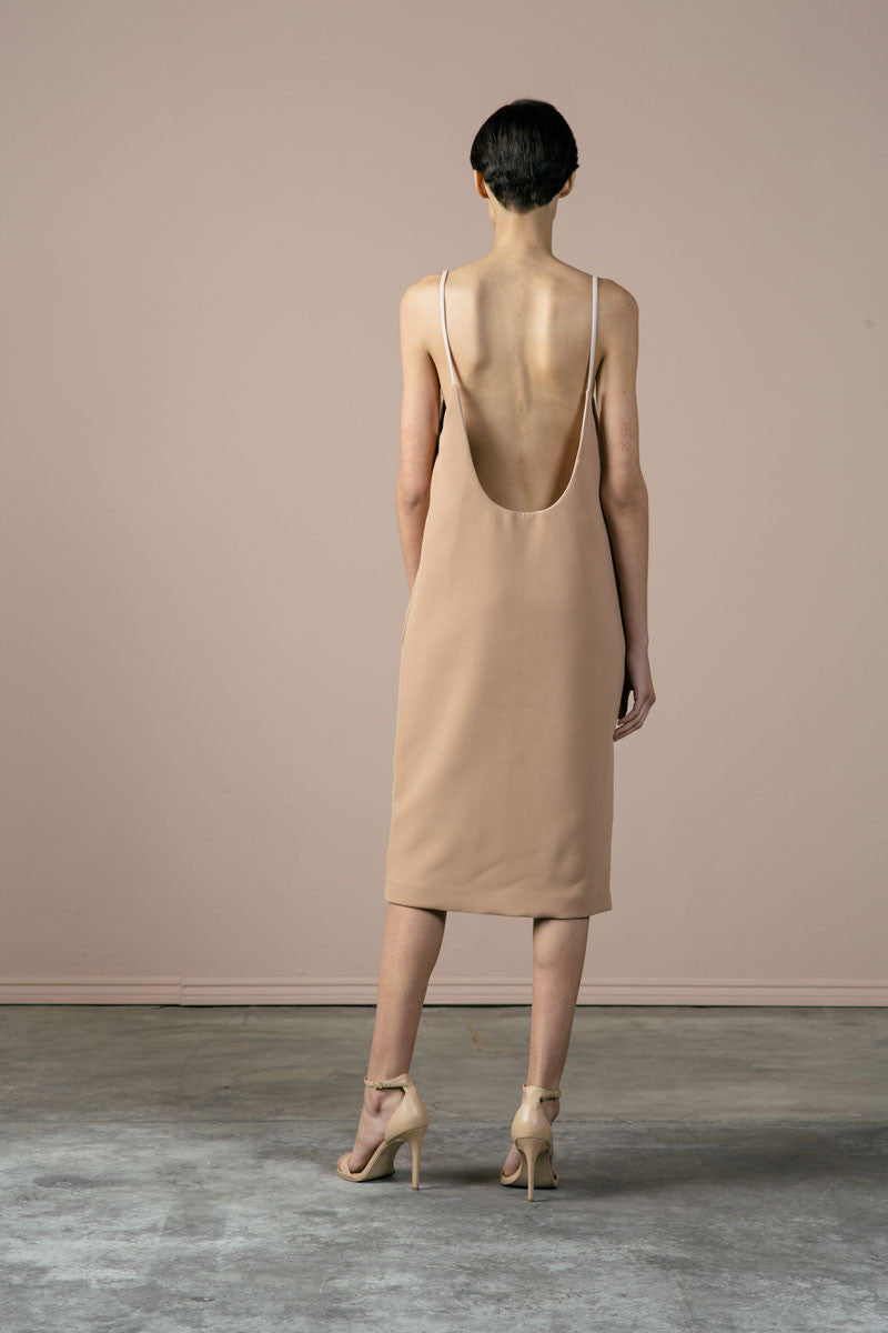 Lily Dress in Rosé