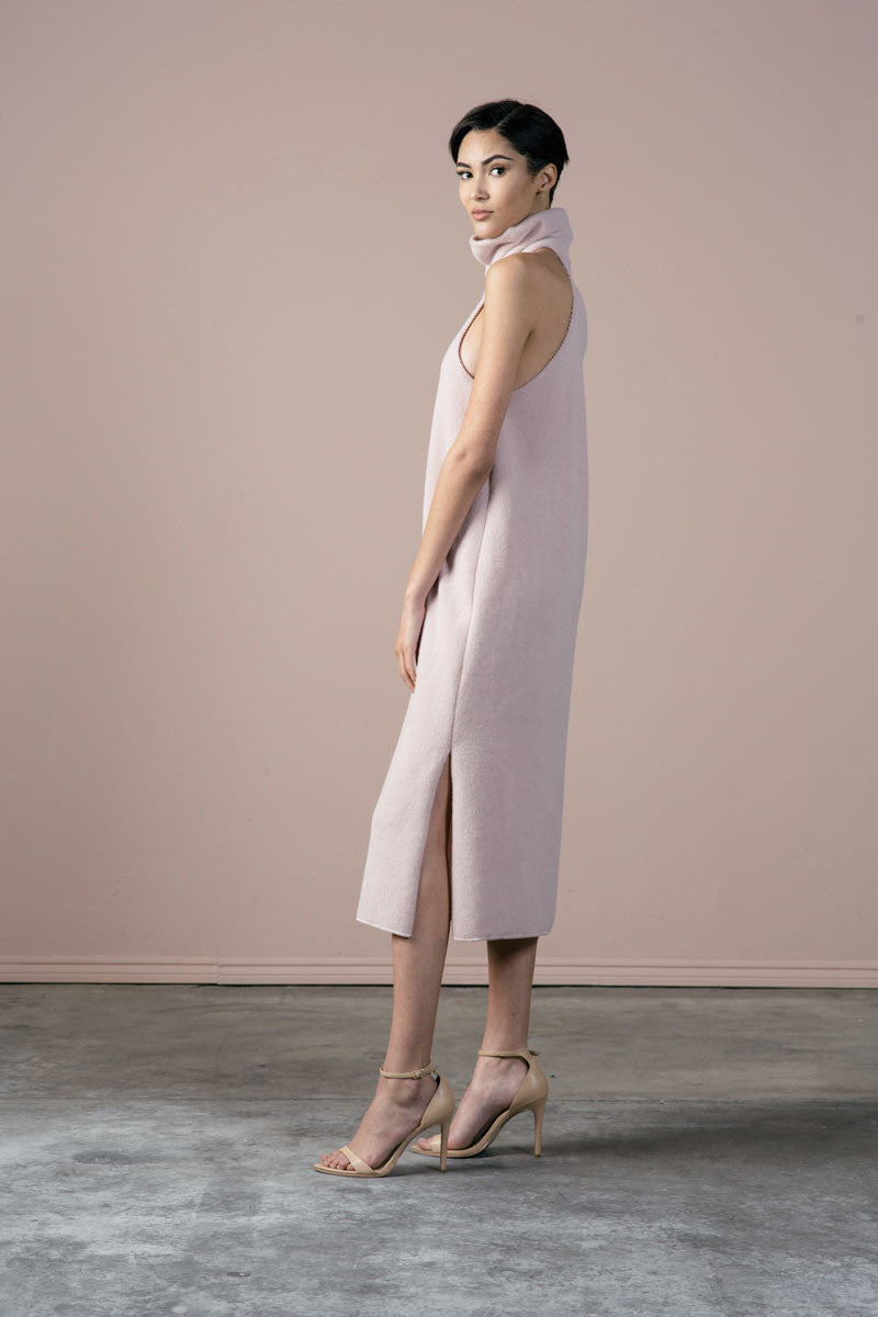 Paley Dress in Rosé